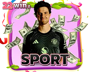 แทงบอลกีฬา มีครบทุกลีคทั่วโลก จ่ายบิลไว ไม่มีสะดุด 22WINZ